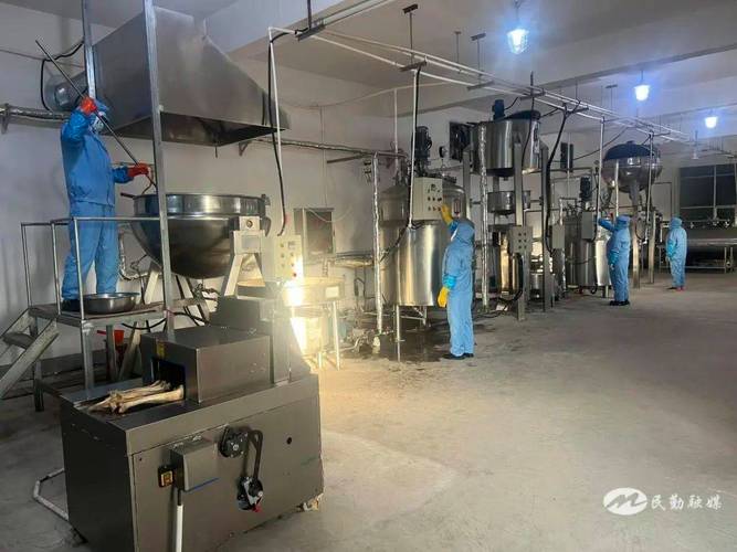 甘肃犇旺旺生物科技有限公司：牛骨头深加工的创新发展之路