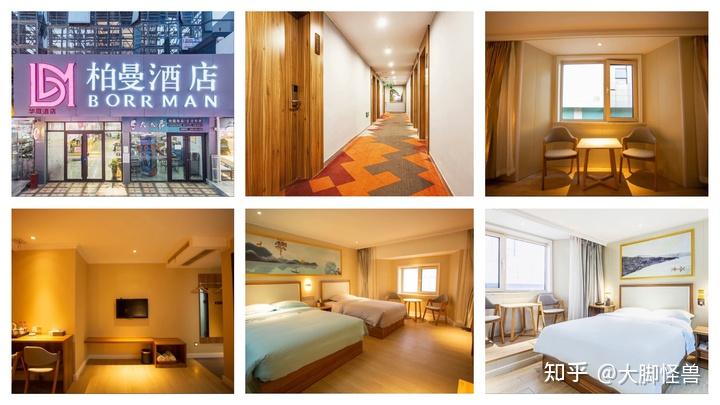 青岛啤酒股票价格预测_青岛开海时间_青岛啤酒节时间