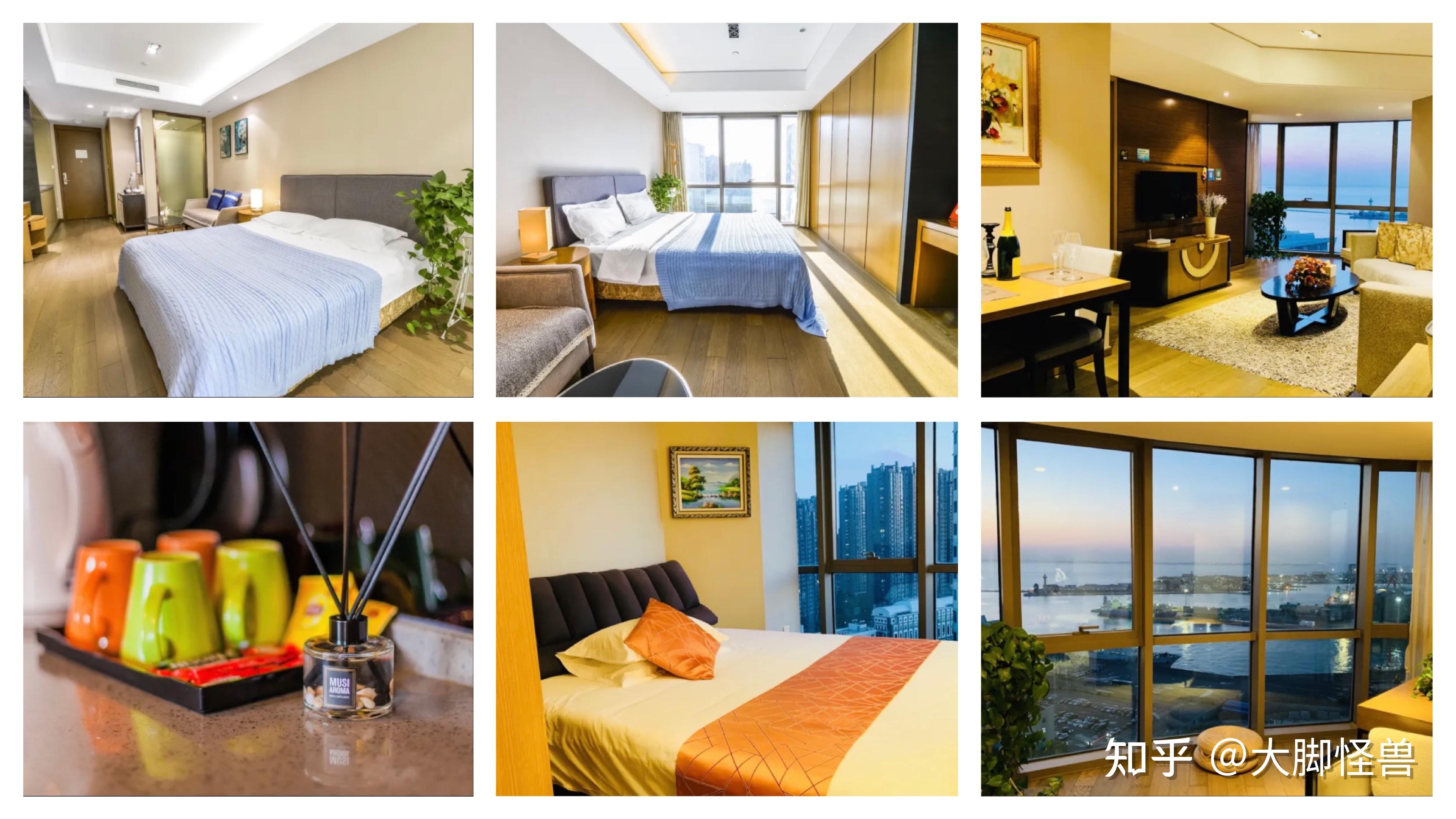 青岛啤酒节时间_青岛啤酒股票价格预测_青岛开海时间