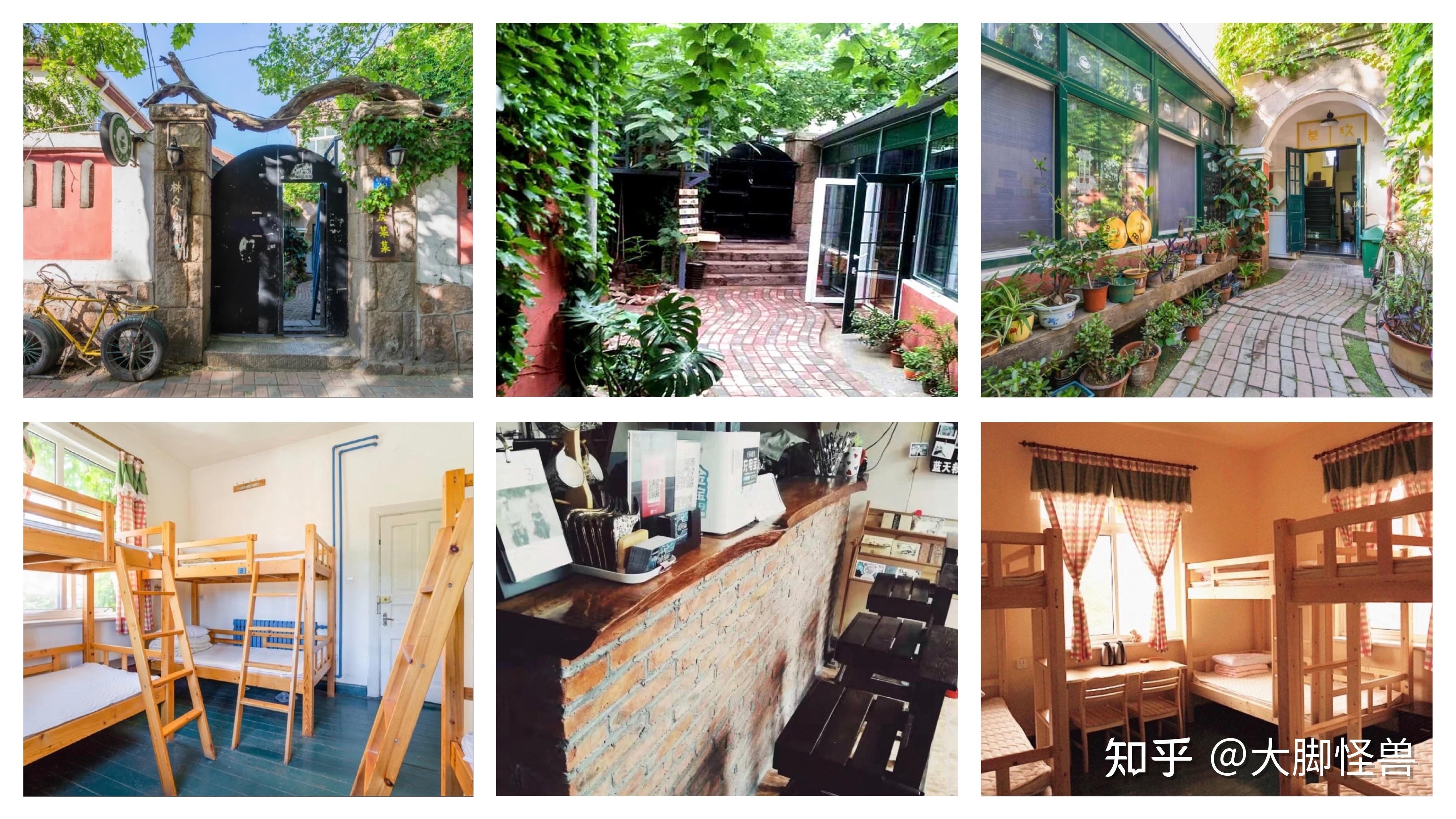 青岛啤酒节时间_青岛啤酒股票价格预测_青岛开海时间