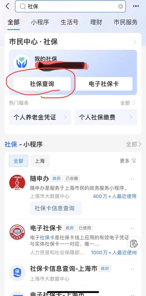 社保生育险查询深圳官网_深圳生育险到账进度怎么查_深圳社保生育险查询