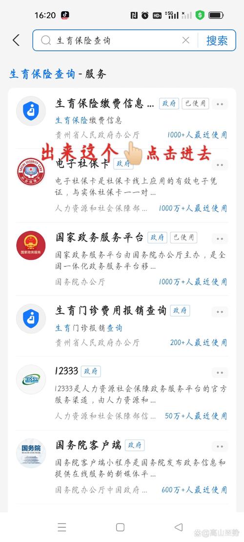 郑州生育险查询方式全知道，网上平台、线下机构等多种途径