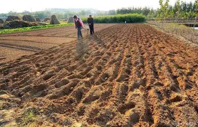 2021年土地流转价格_一亩地现在能卖多少钱_土地流转新规解读