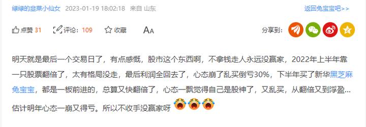 黑芝麻股票深度解析，投资前景、走势及策略分析