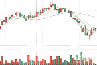 股票如何看到市盈率