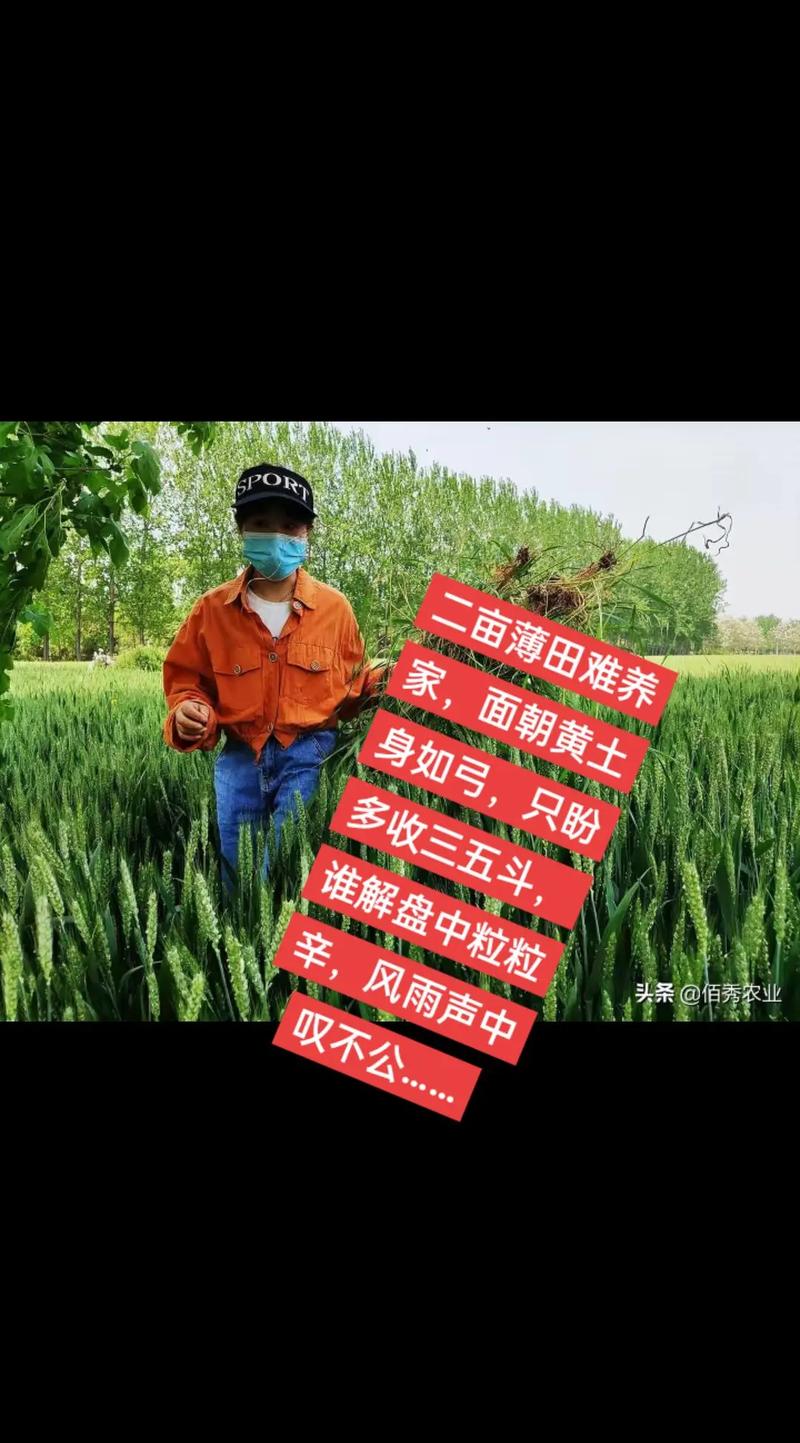 土地流转合约不稳定因素_种田大户经营风险_一亩地现在能卖多少钱