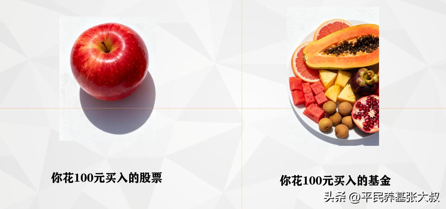 股票基金入门书籍_基金投资入门知识_基金管理人运作模式