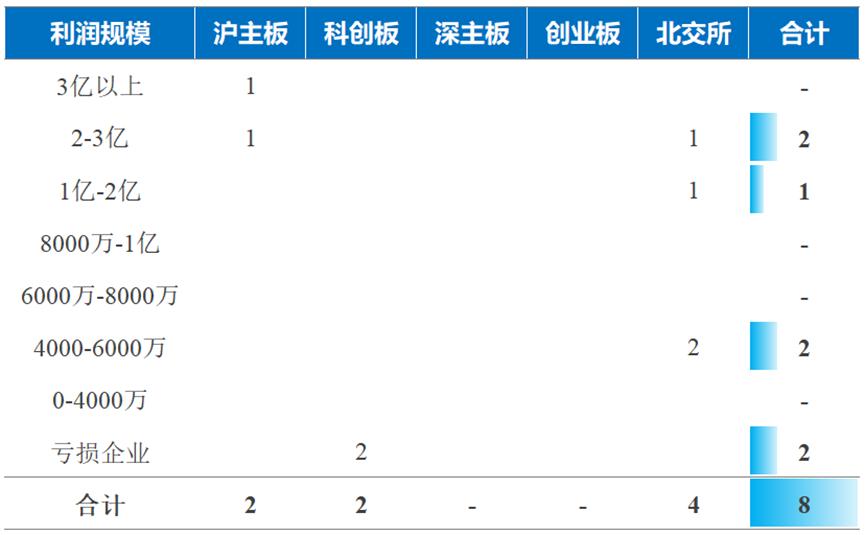 北交所排队情况_创业板上市条件2025_A股IPO市场分析