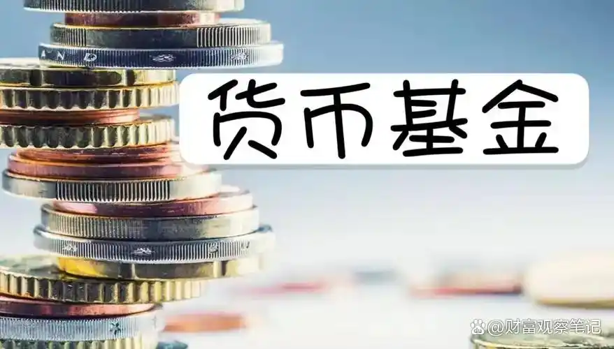 货币基金风险收益对比_现在货币基金哪个好_货币基金与债券基金区别