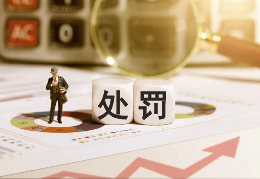 新黎明IPO监管处罚_创业板上市条件2025_带病闯关IPO案例分析