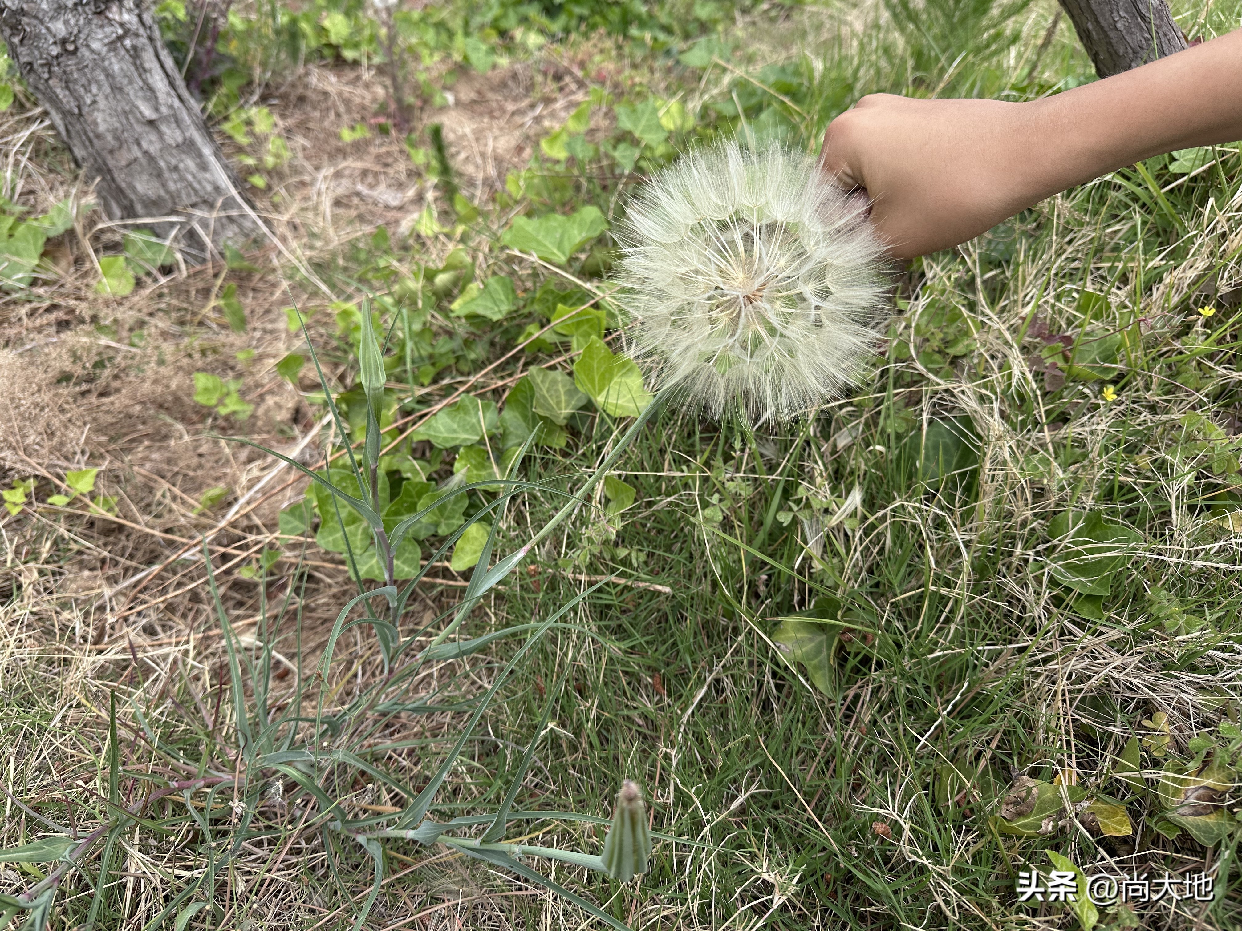 小白投资学习_成交量K线图分析_股票成交量分析技巧