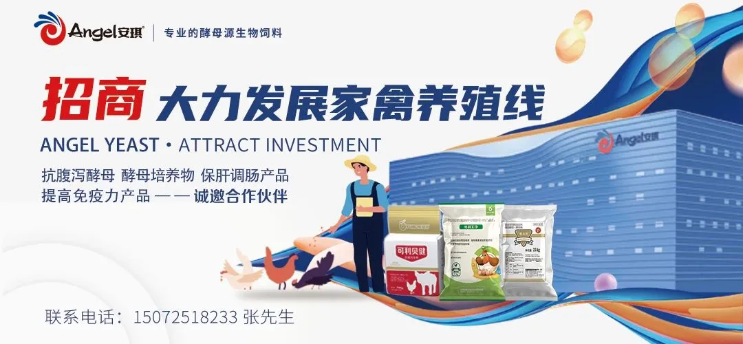 2024年三季度维生素上市企业业绩报告汇总，都有哪些公司上榜？