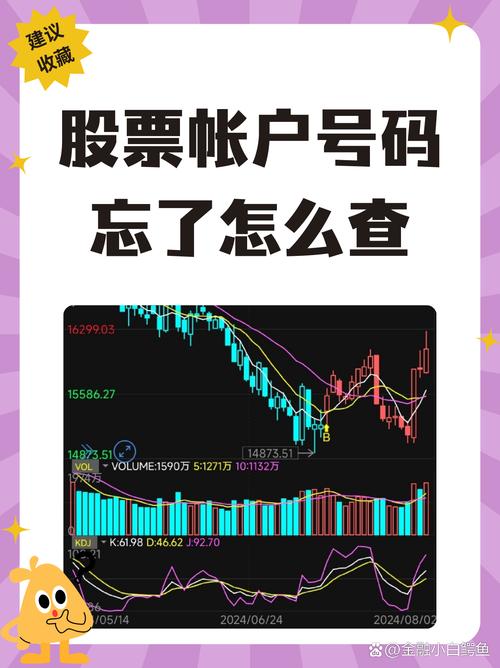 公牛炒股怎样找回密码_证券公司资金密码找回流程_股票资金密码找回方法
