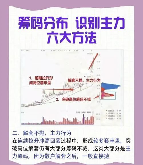 资金分析：主力净流入及筹码分布情况，技术面需关注？
