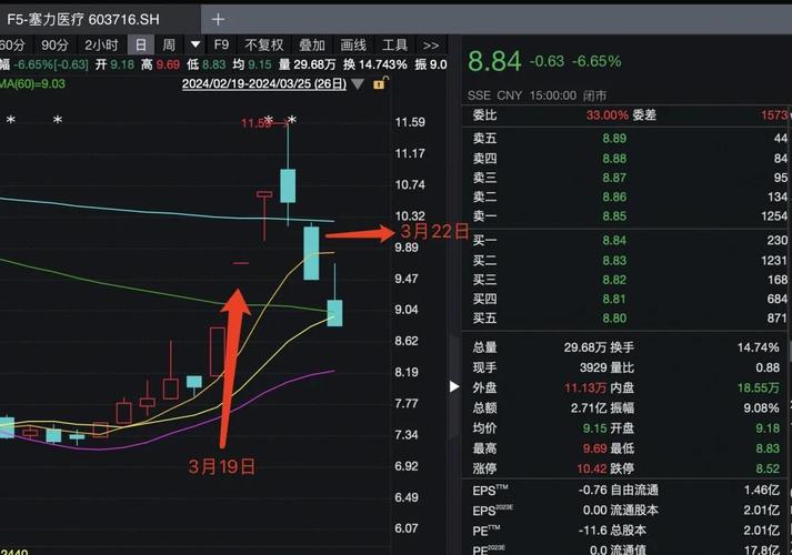 塞力医疗股票异常波动_塞力斯股票_塞力转债减持