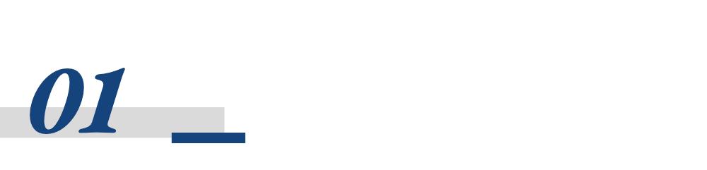 终身寿险分红型_保险产品资产规划_中国太平投资项目