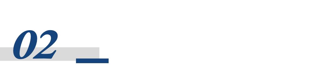 中国太平投资项目_保险产品资产规划_终身寿险分红型