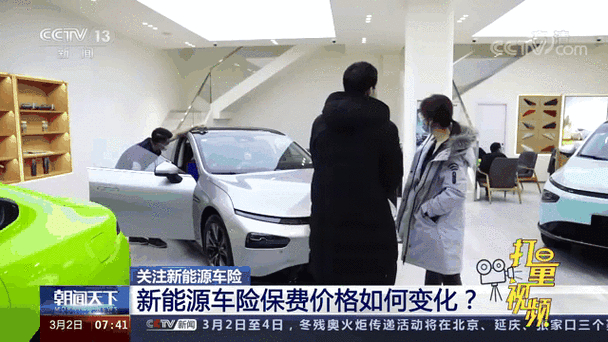 2025汽车保险公司排名_新能源车保险标准_新能源车保费下降可能性