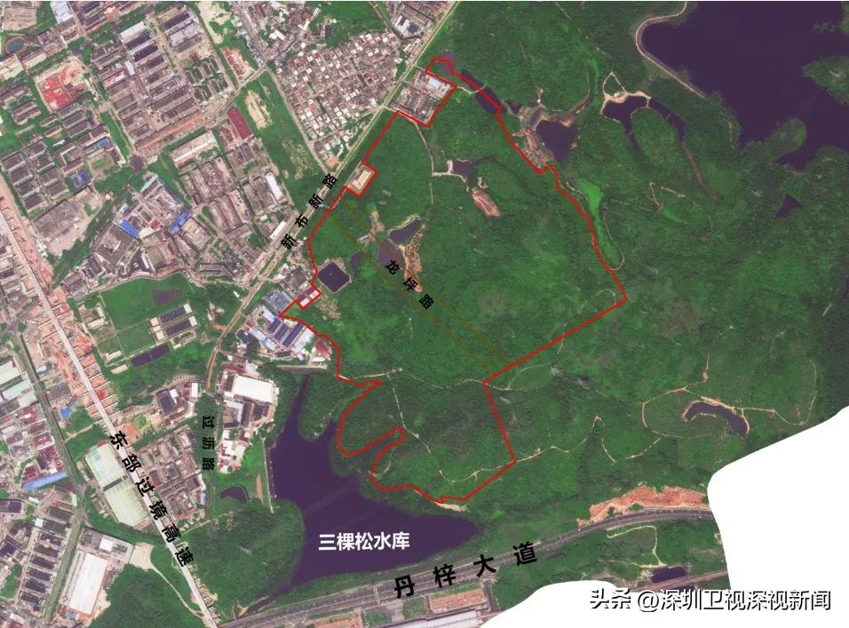 深圳龙岗区宝龙街道研发中心_比亚迪全球研发中心_宝龙比亚迪2025招工