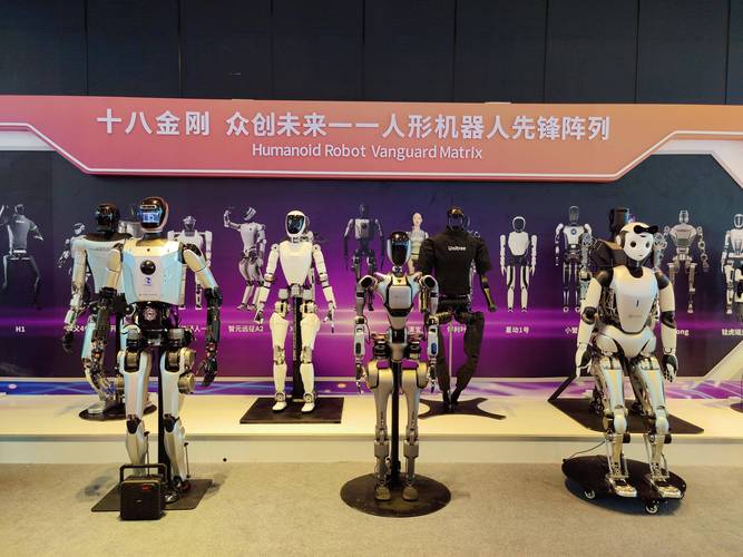 机器人概念股票 有哪些_ 2024年人形机器人市场分析 _
