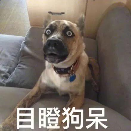 股票配资网平台点评_场外配资监管现状_股市杠杆配资风险