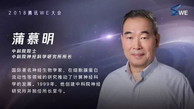 坎贝尔杜达克史密斯法_杜贝里切尔西_杜德利·坎贝尔