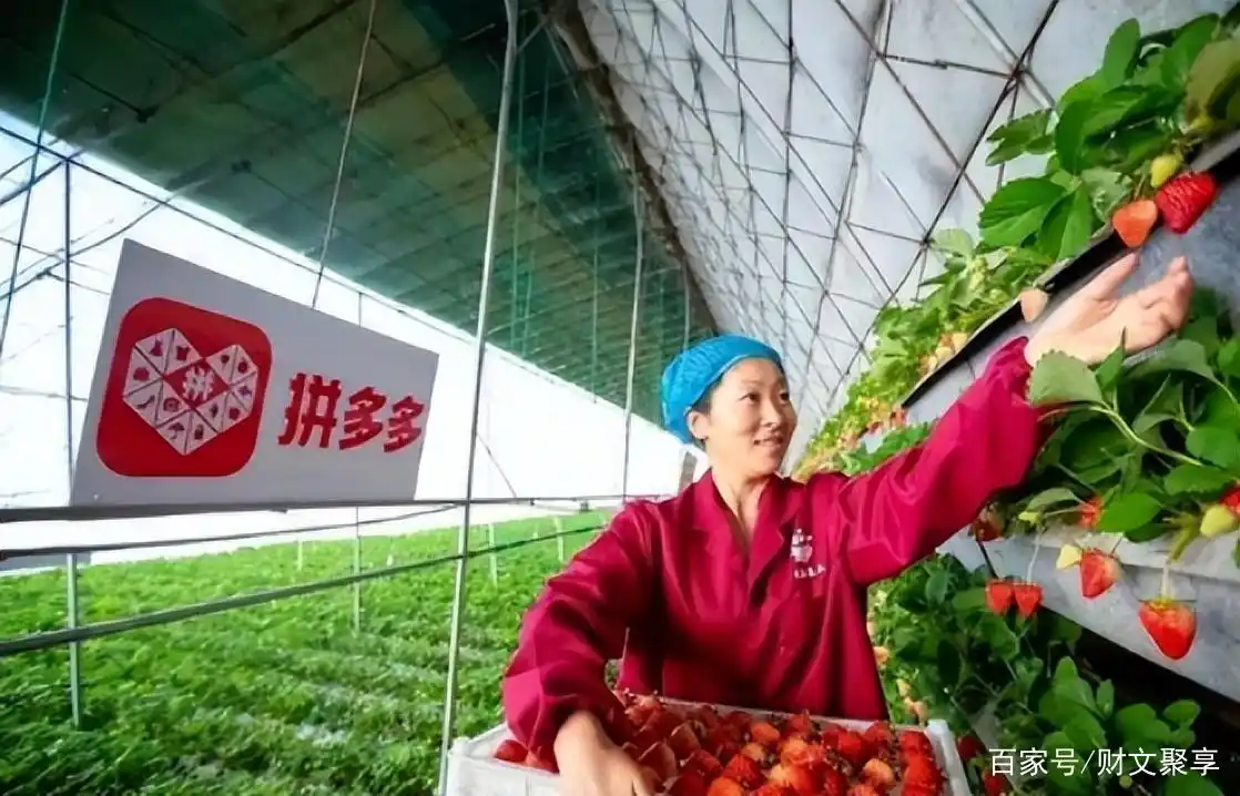 电商价格差异分析_拼多多与淘宝价格对比_拼多多是什么电商类型