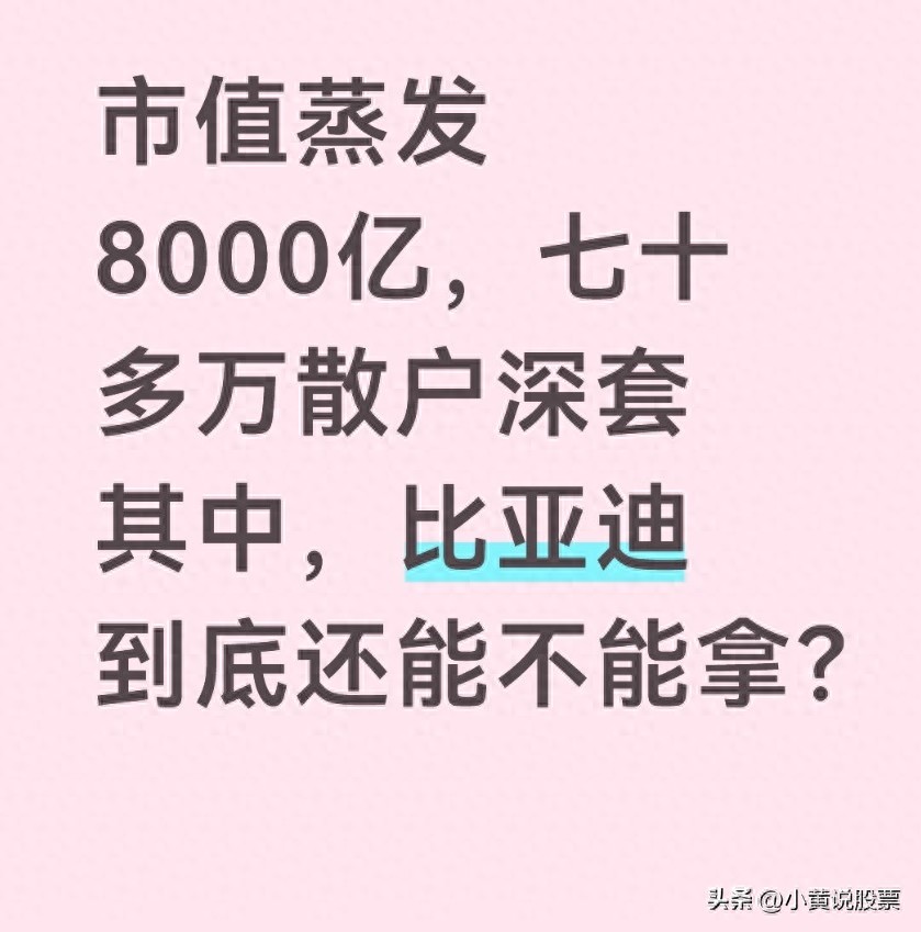 比亚迪市值蒸发8000亿 中国股市总市值增速承压