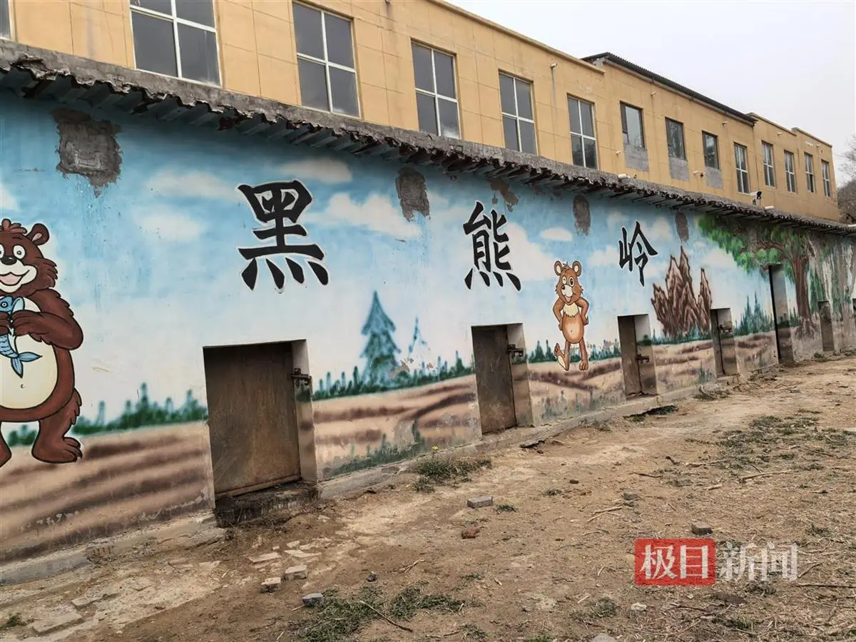 邯郸佛山野生动物园黑熊出逃事件_动物园经营困境与整改措施_2026年邯郸动物园搬迁