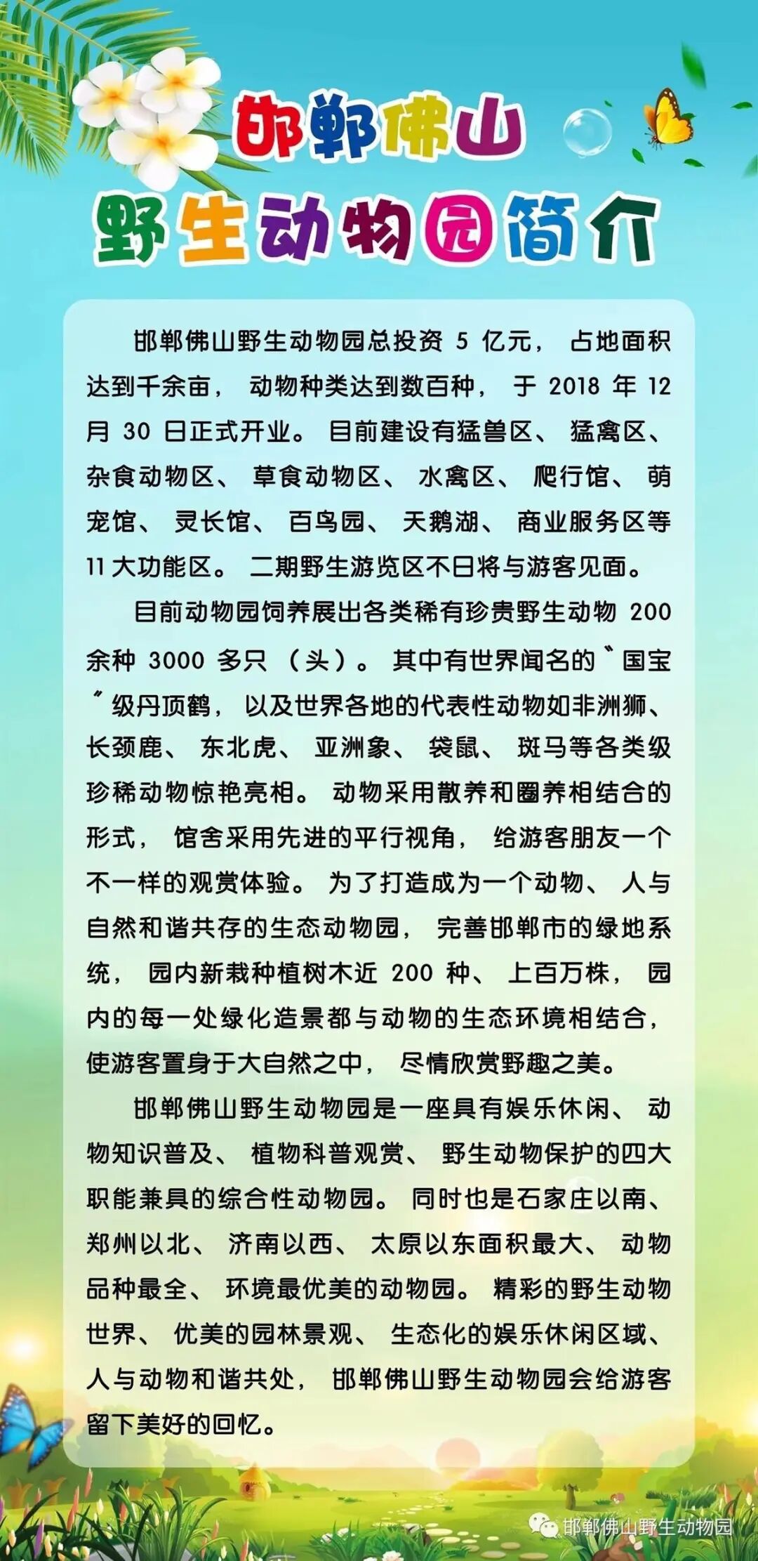 2026年邯郸动物园搬迁_邯郸佛山野生动物园黑熊出逃事件_河北邯郸动物园经营困境分析