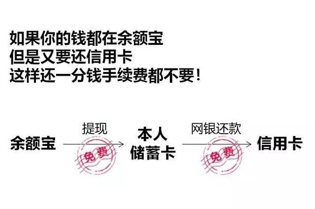 信用卡支付+支付宝_新法律法规实施_支付宝信用卡还款服务费调整