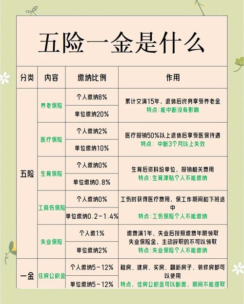 五险一金断缴风险_五险一金如何利用_工资2700交五险一金是什么意思