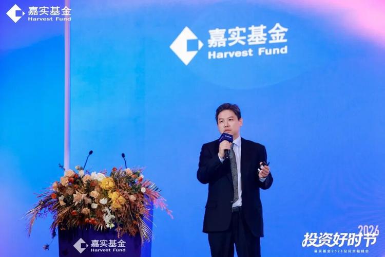 嘉实领先成长股票基金投资策略：股票、存托凭证及衍生品投资方法