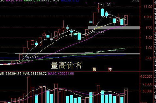 股票里（软件里）的净流入和净额是什么意思？