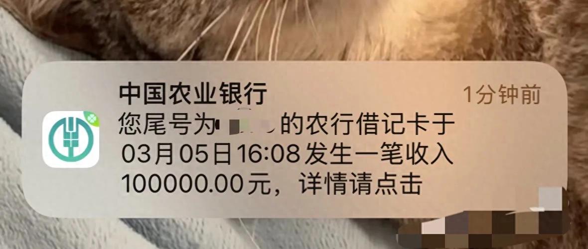 支付宝的余额转账转错了，千万别直接退回