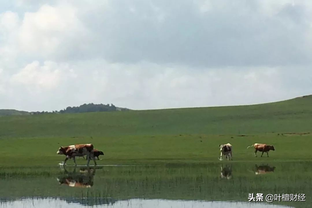 P2P网贷行业成交量下降趋势_p2p收不到资源了_陆金所P2P暴雷事件