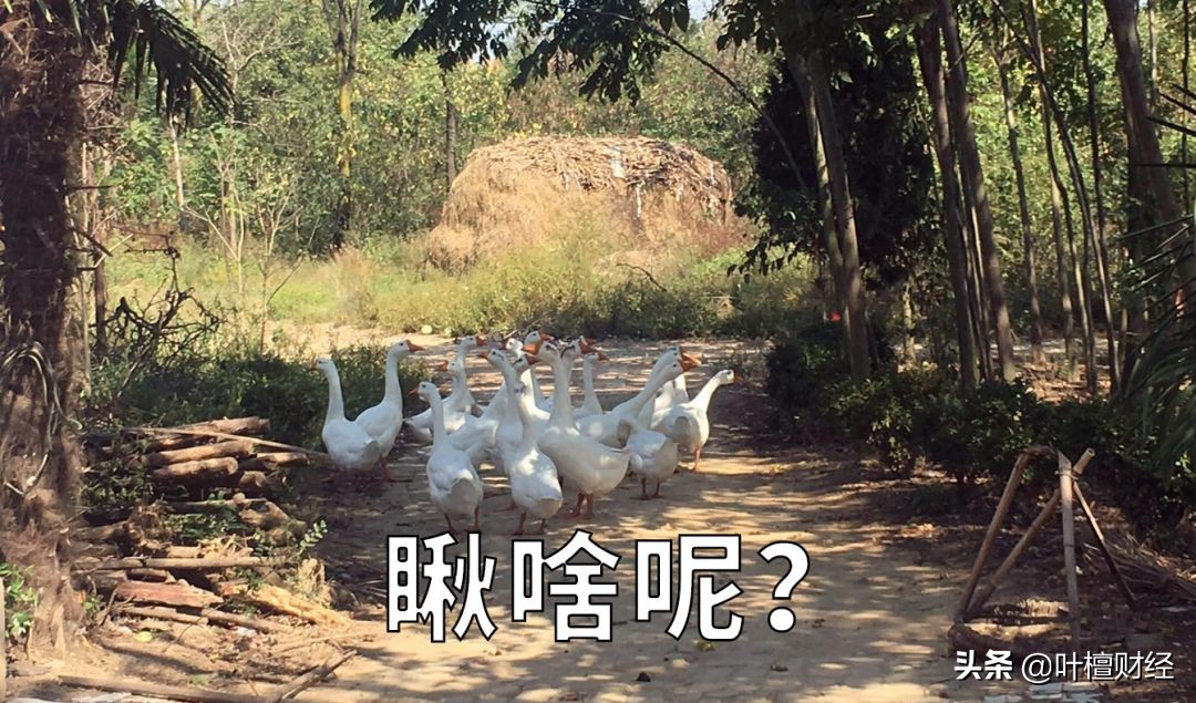 p2p收不到资源了_P2P网贷行业成交量下降趋势_陆金所P2P暴雷事件