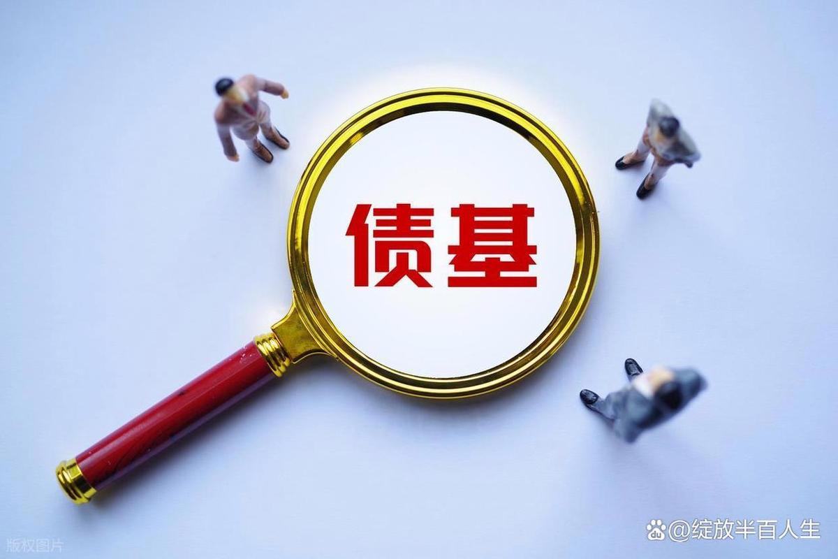 债券基金投资策略_纯债基金收益率分析_杠杆债基