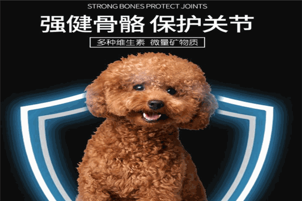 良宠狗粮