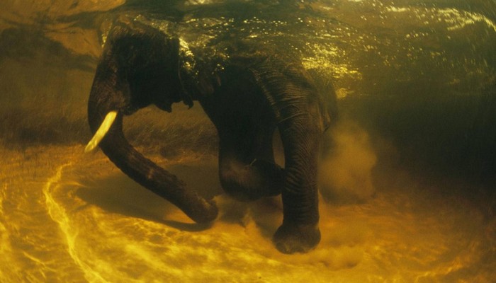 中国最早的基金：金泰开元设立时间及相关基金发展历程