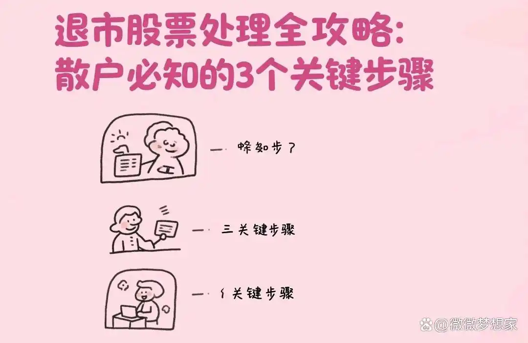 退市股票处理攻略_散户退市股票应对策略_退市整理 股票有哪些