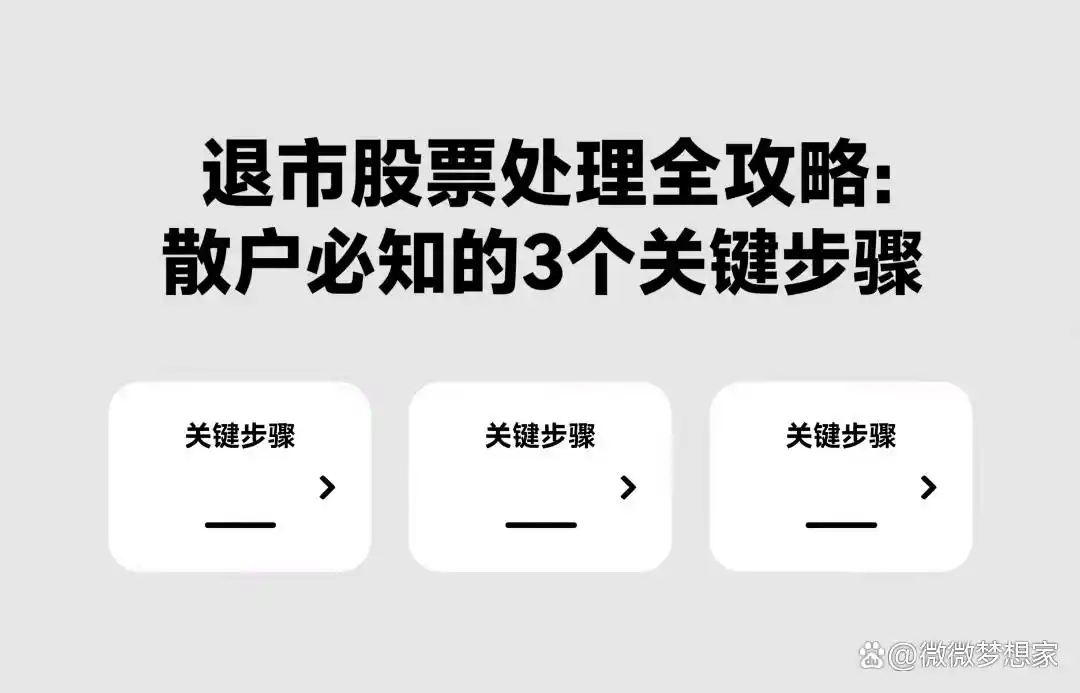 散户退市股票应对策略_退市股票处理攻略_退市整理 股票有哪些